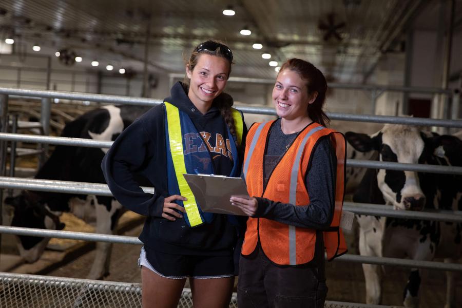 2 students in a barn with cows behind them
