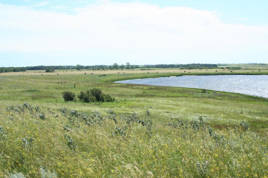 A field of hay next to a small lake