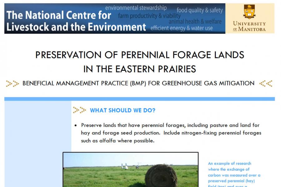 Preservation of Perennial Forage Lands in the Eastern Prairies