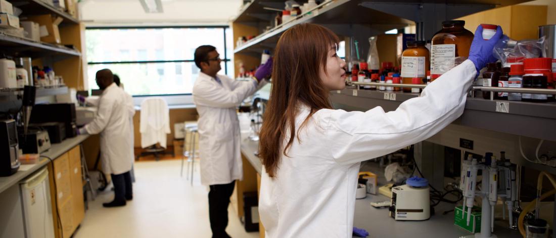 Several pharmacist students working in a lab.