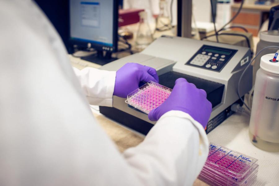 A pharmacists hands carefully place a tray of samples into a piece of lab equipment.