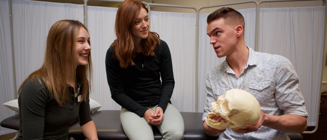 Examining skull anatomy