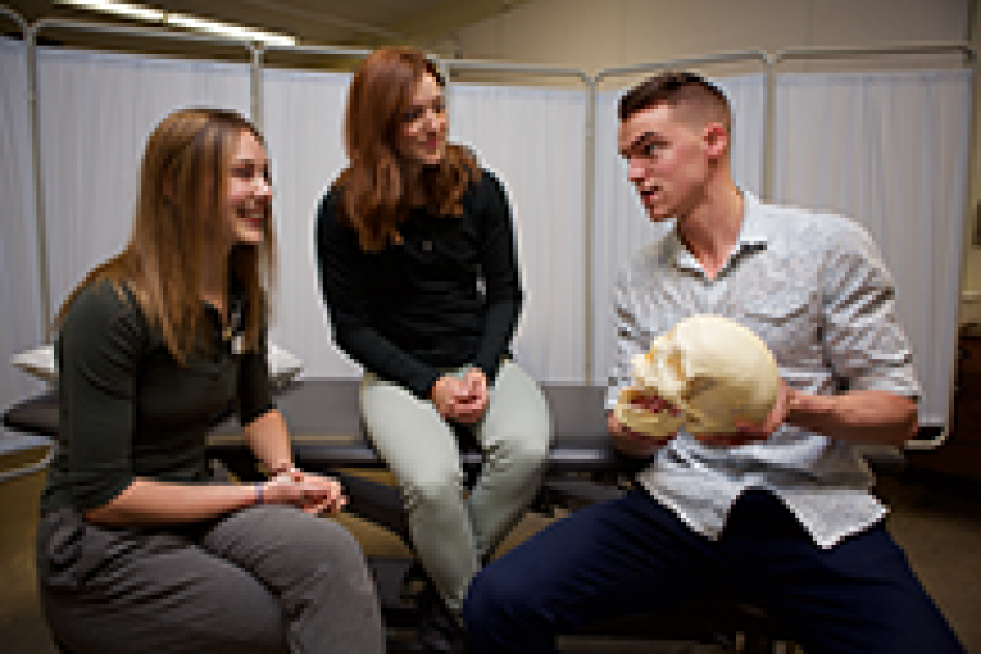 Examining a skull.