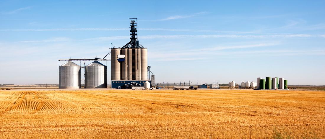 A grain storage building in the middle of a field.