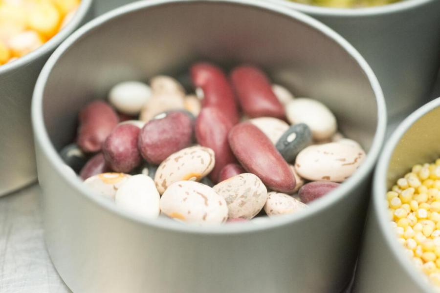 A dish full of a variety of dried legumes.