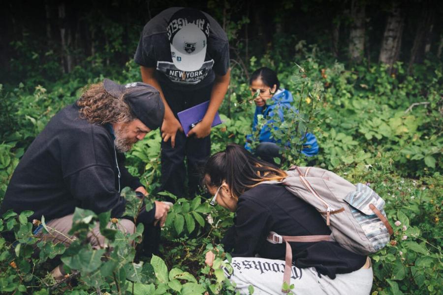 University of Manitoba students investigating a forested area.