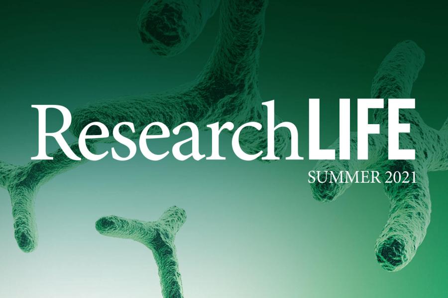 ResearchLIFE Summer 2021 - over a magnified view of chromosomes.
