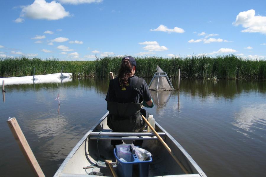 A researcher sitting in a canoe on a lake with samples on the floor of the canoe.