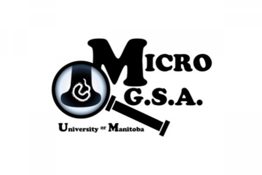 micro gsa logo