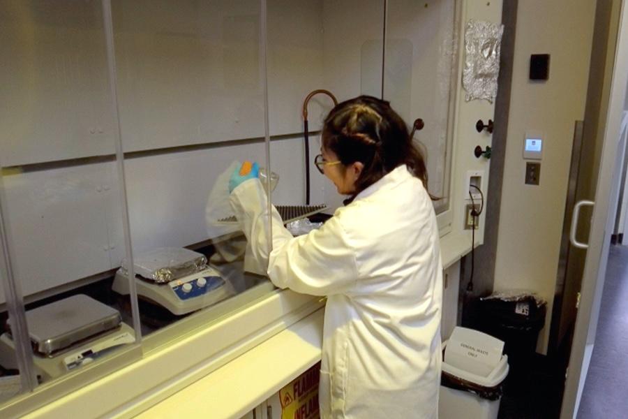 A student working in the immunotrafficking lab.