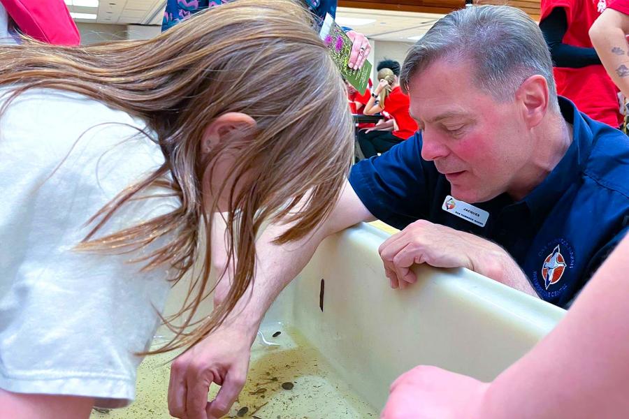 A kid looking at different species in the critter dipping booth.