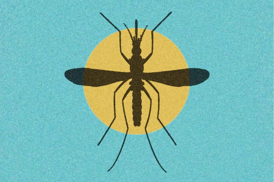 an illustration of a mosquito.