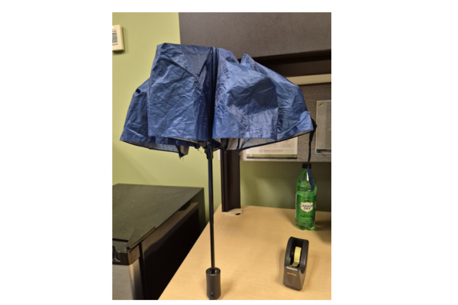 Umbrella