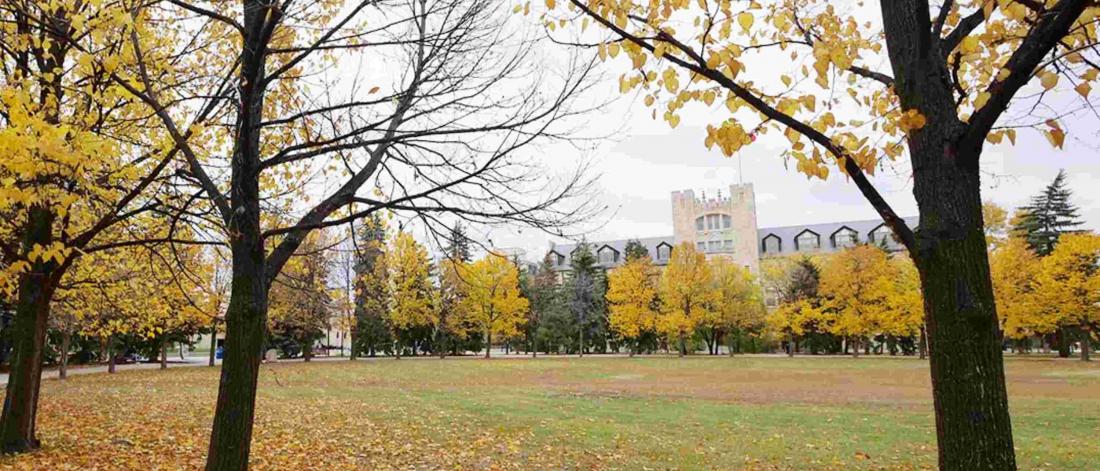 The Duckworth Quadrangle at the University of Manitoba.