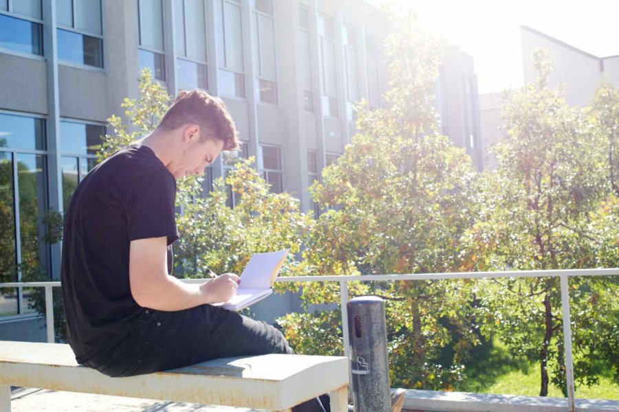 Student sitting in the sunshine working on a laptop
