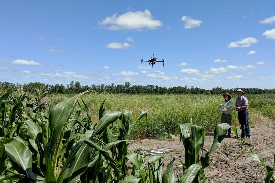 Two people stand in a crop field operating a remote control drone that is flying over the field.