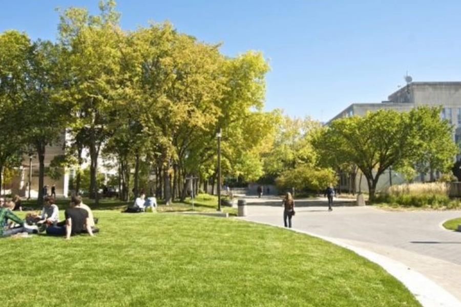 clear skis and green grass at UM Fort Garry campus