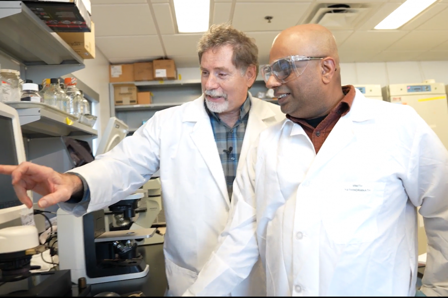 scientists looking at a screen