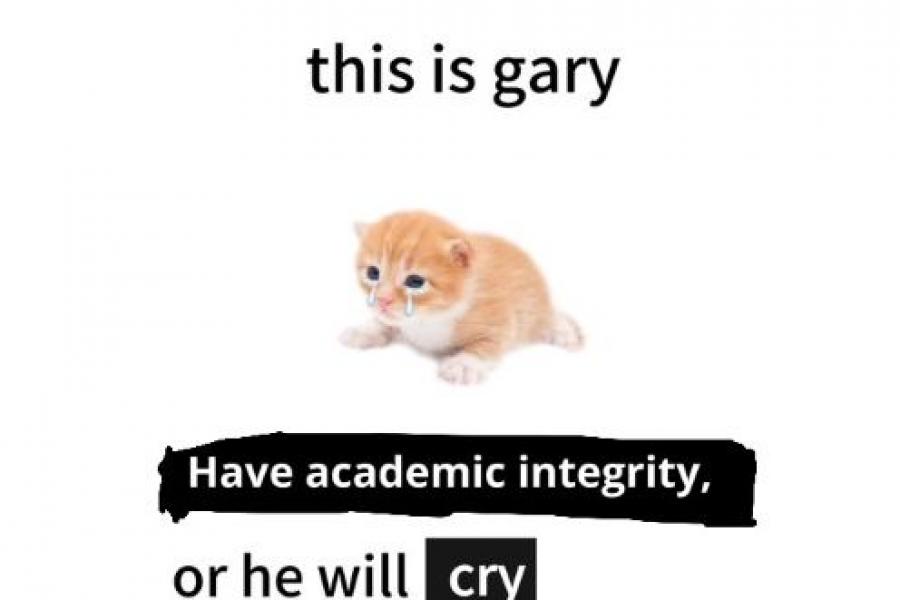 Picture of a sad cat with the caption "this is Gary, have academic integrity or he will cry"