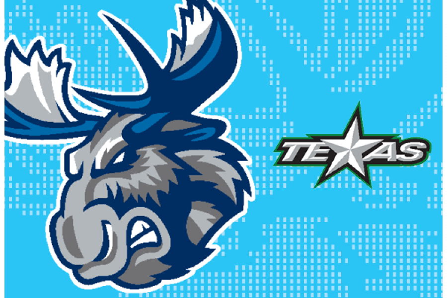 moose texas
