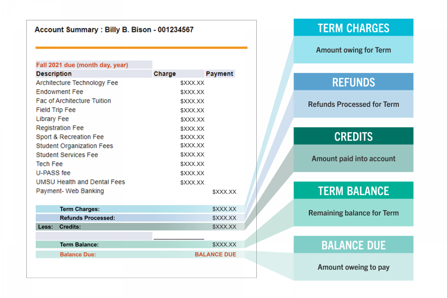 A graphic breaking down an account summary in Aurora.