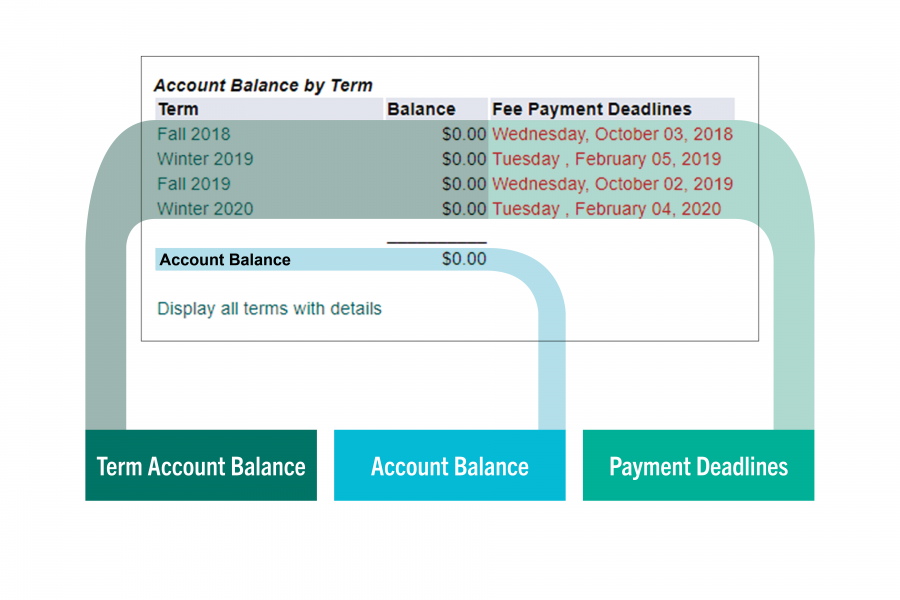 A graphic breaking down an account summary in Aurora.